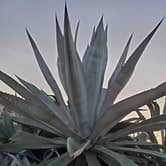 Review photo of Rancho El Charco by Michael Vincent O., October 5, 2025