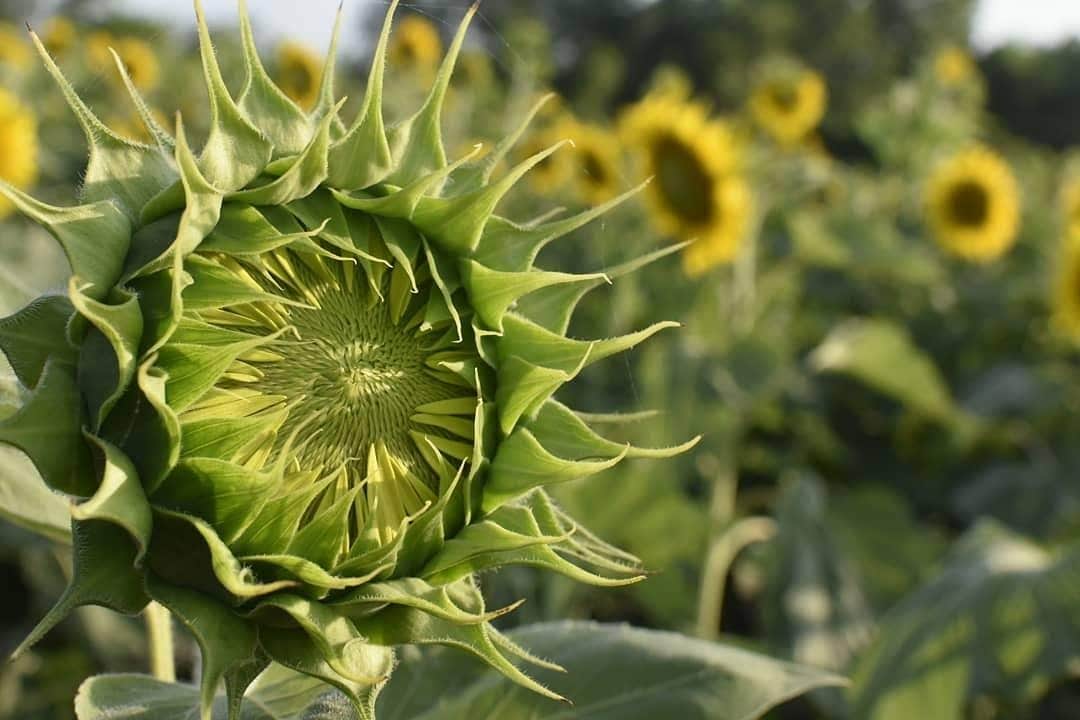 Camper-submitted photo at Rancho El Charco near Ratcliff, TX