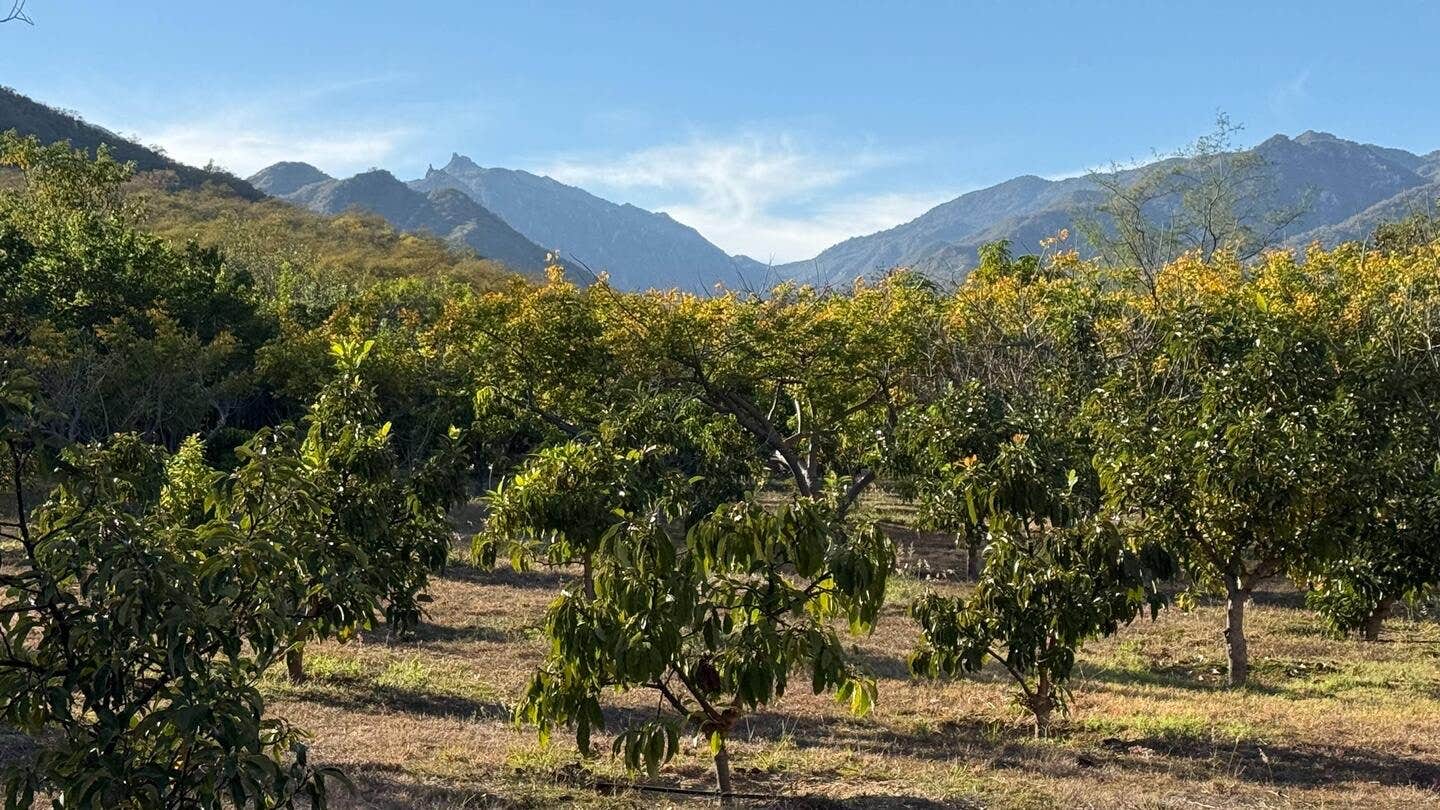 Camper submitted image from Rancho San Dionisio - 1