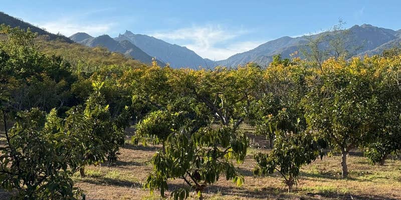 Camper submitted image from Rancho San Dionisio