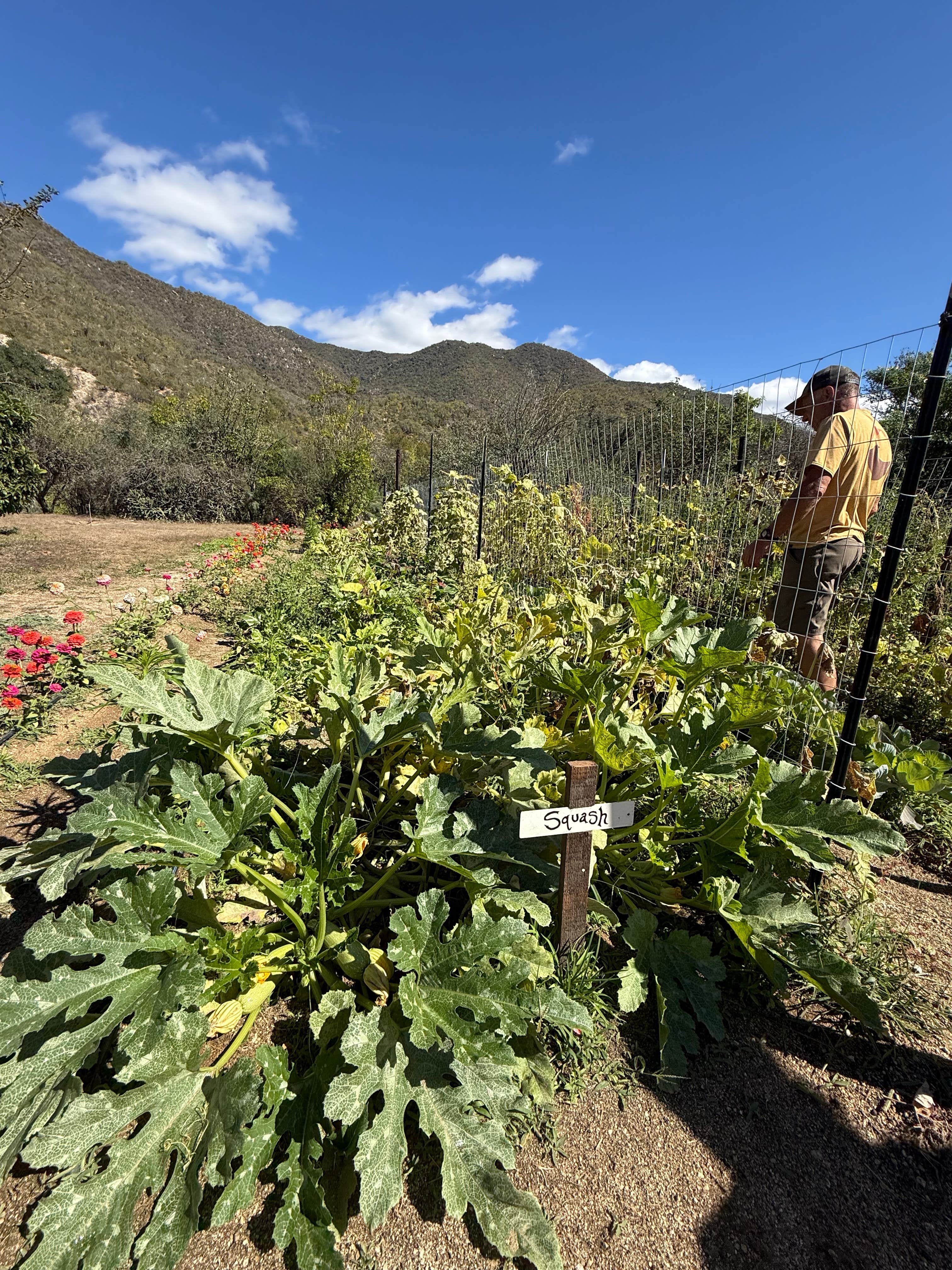 Camper submitted image from Rancho San Dionisio - 5