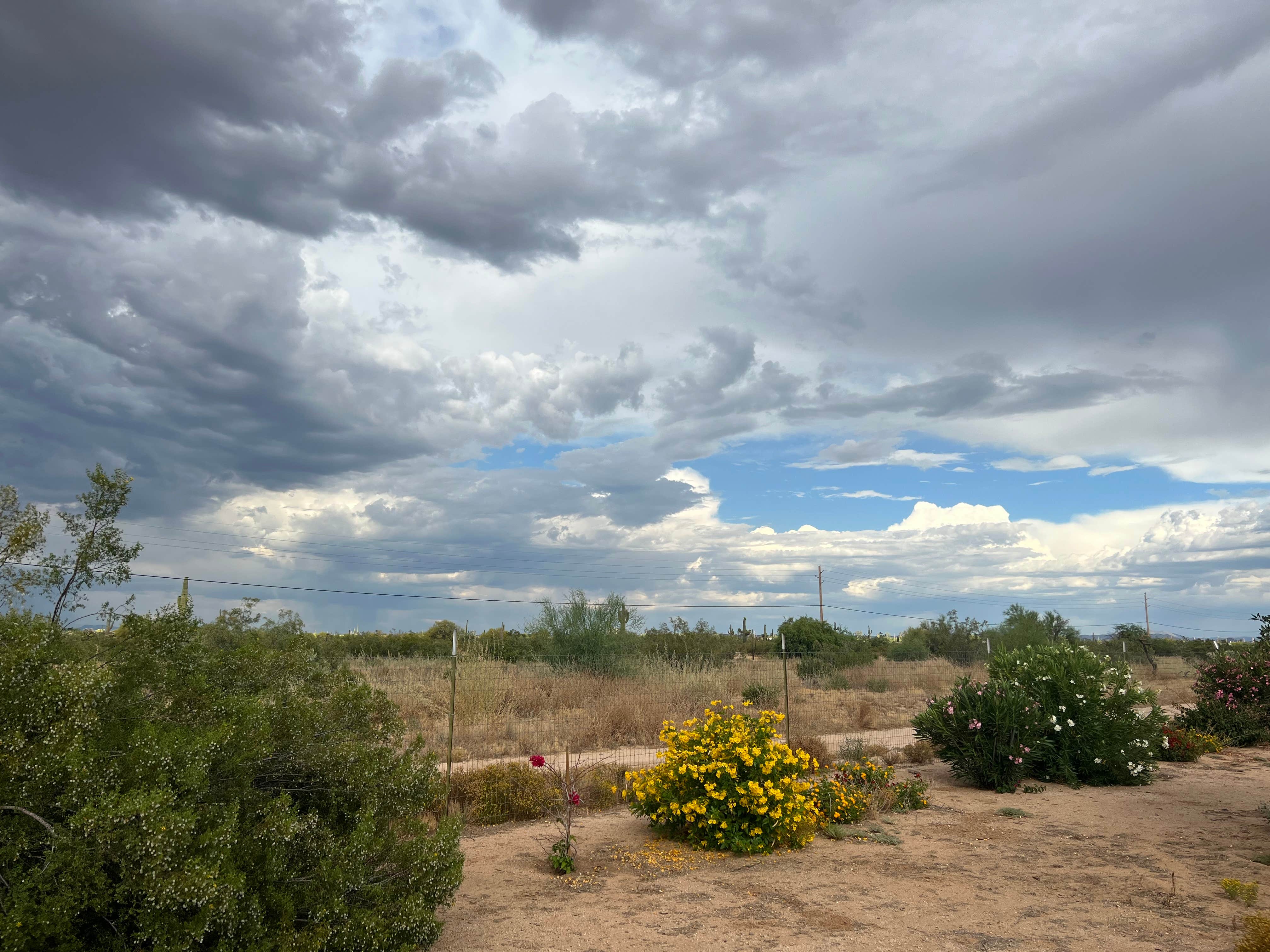 Camper-submitted photo at Rancho Sonora RV Park near Globe, AZ