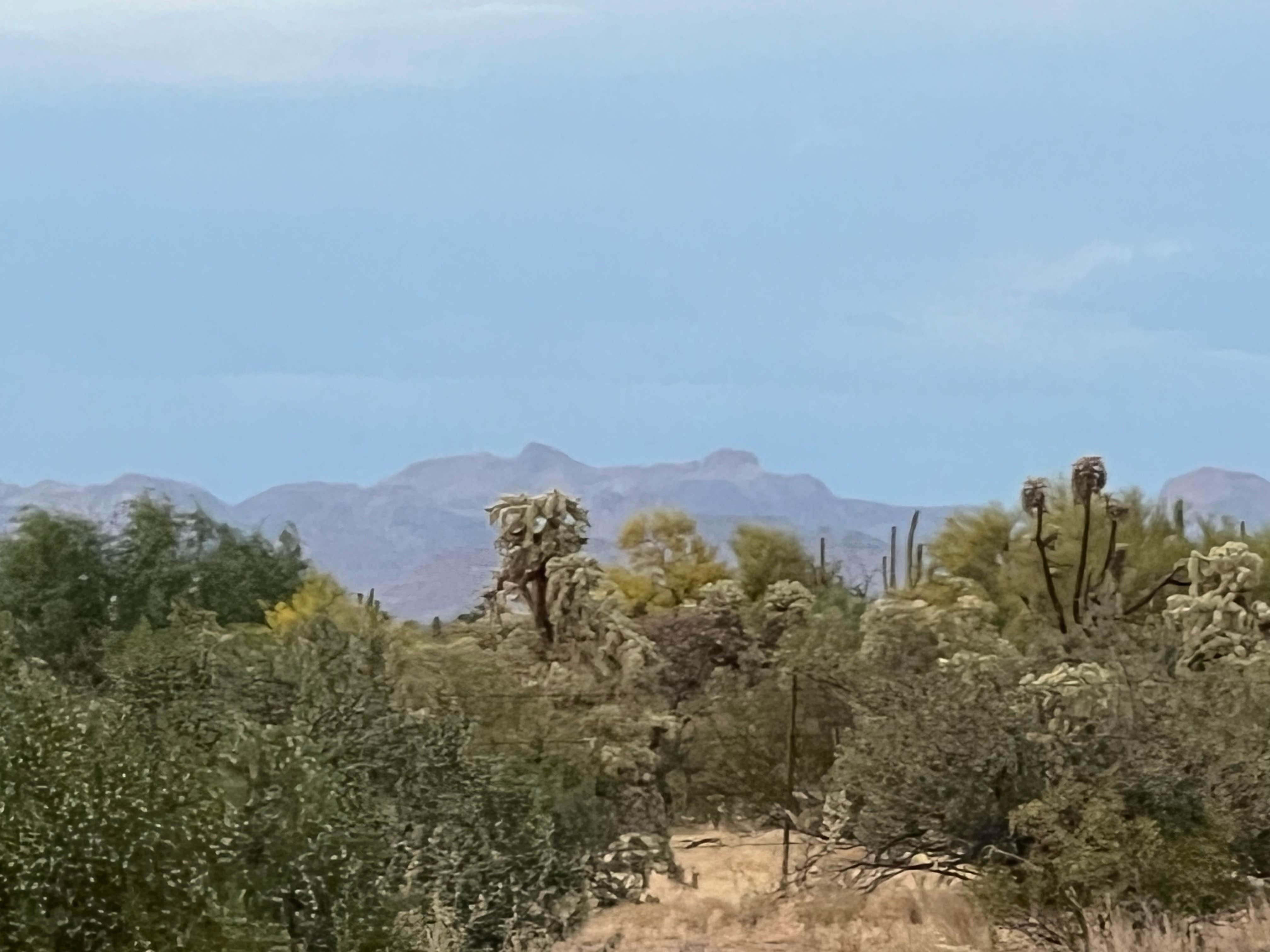 Camping near Pinal County Fairgrounds: Rancho Sonora RV Park, Florence, Arizona