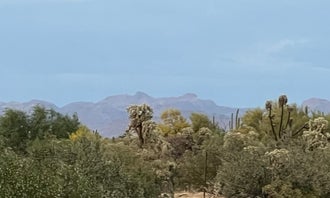 Camping near Pinal County Fairgrounds: Rancho Sonora RV Park, Florence, Arizona