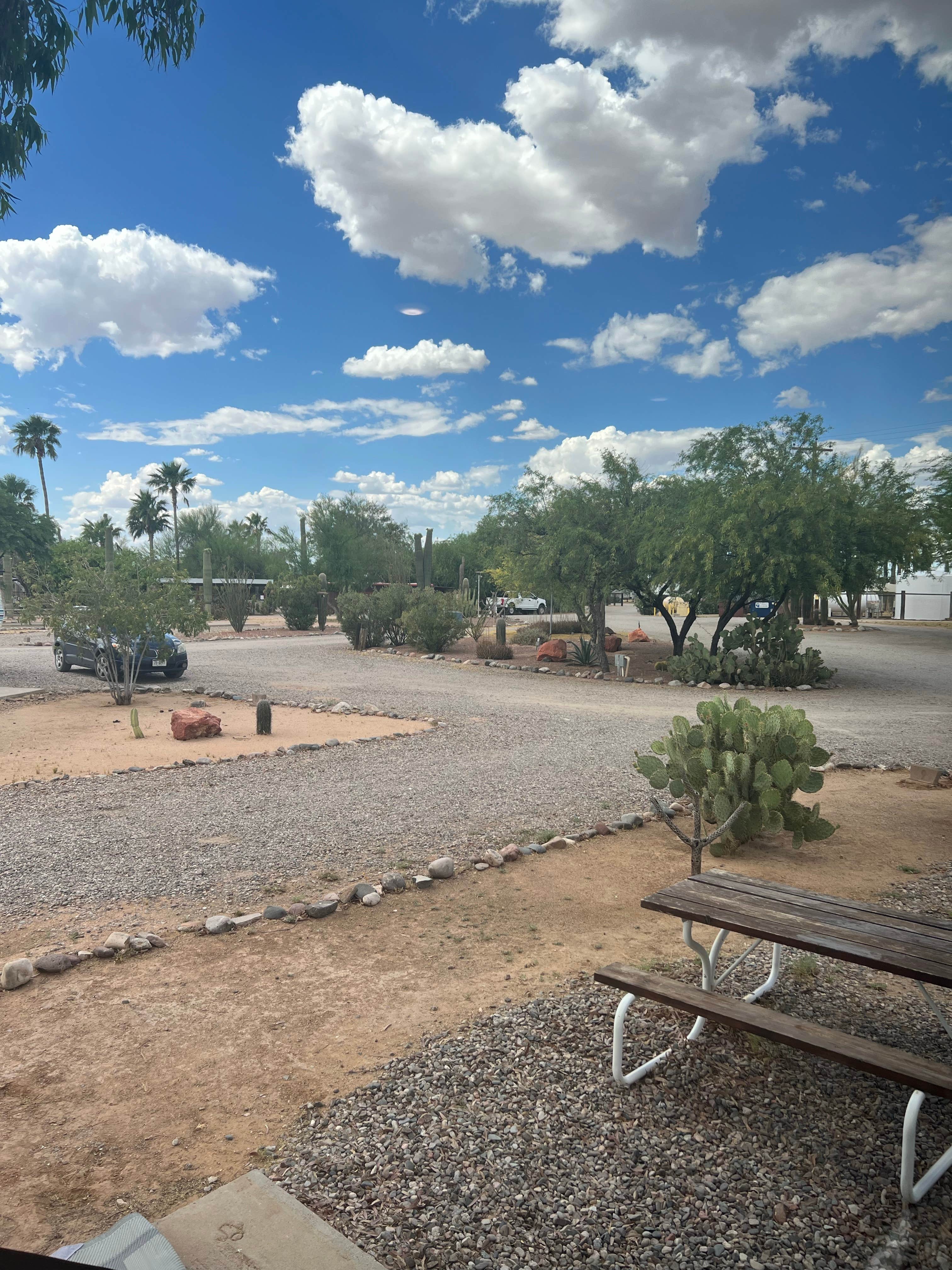 Camper-submitted photo at Rancho Sonora RV Park near Globe, AZ