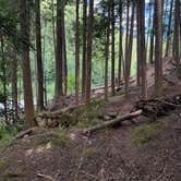 Review photo of Ranger Creek Airstrip Dispersed by Alex R., July 13, 2026