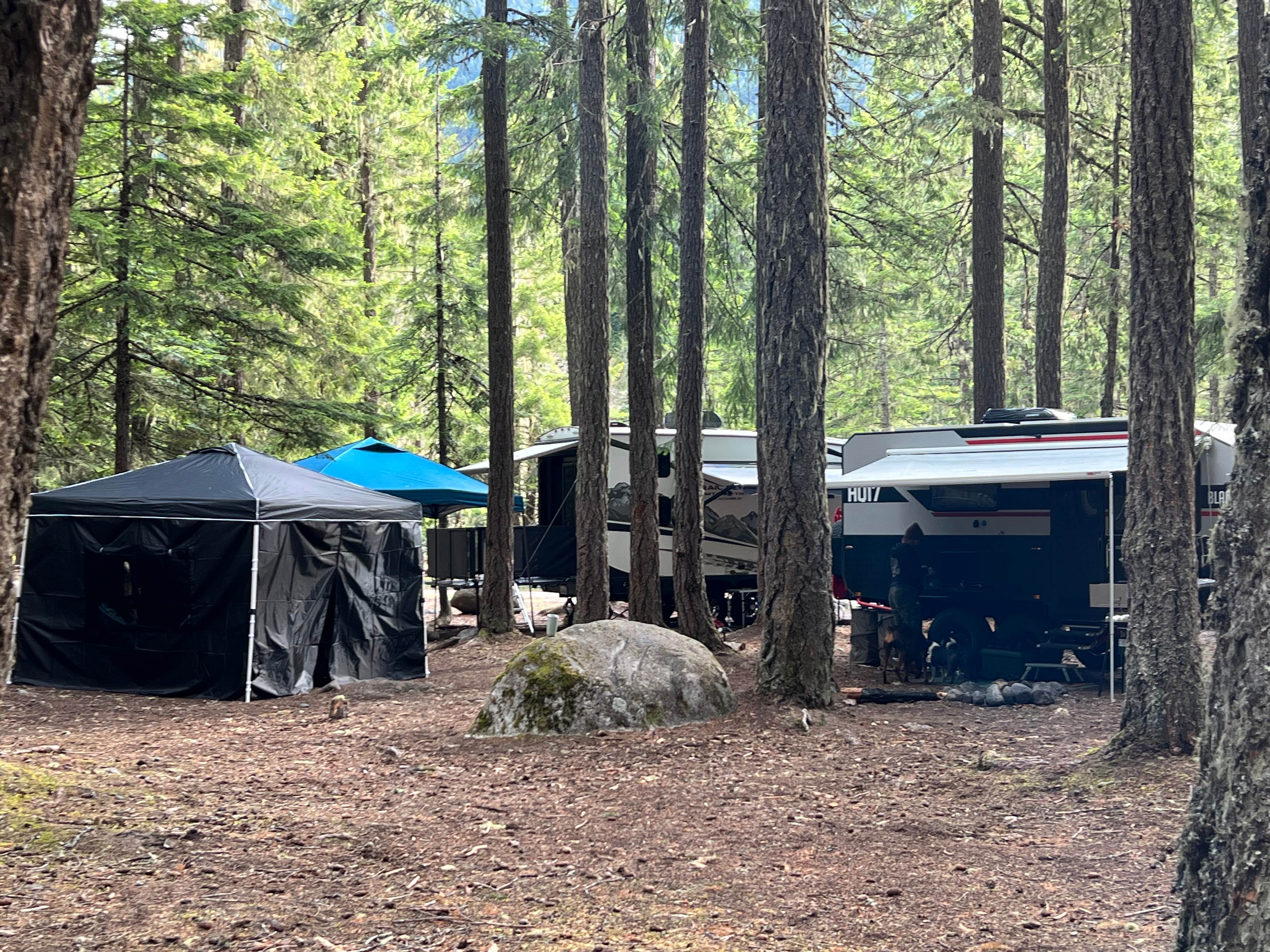 Heather B.'s photo of camping with pets at Ranger Creek Airstrip Dispersed near Mount Rainier National Park