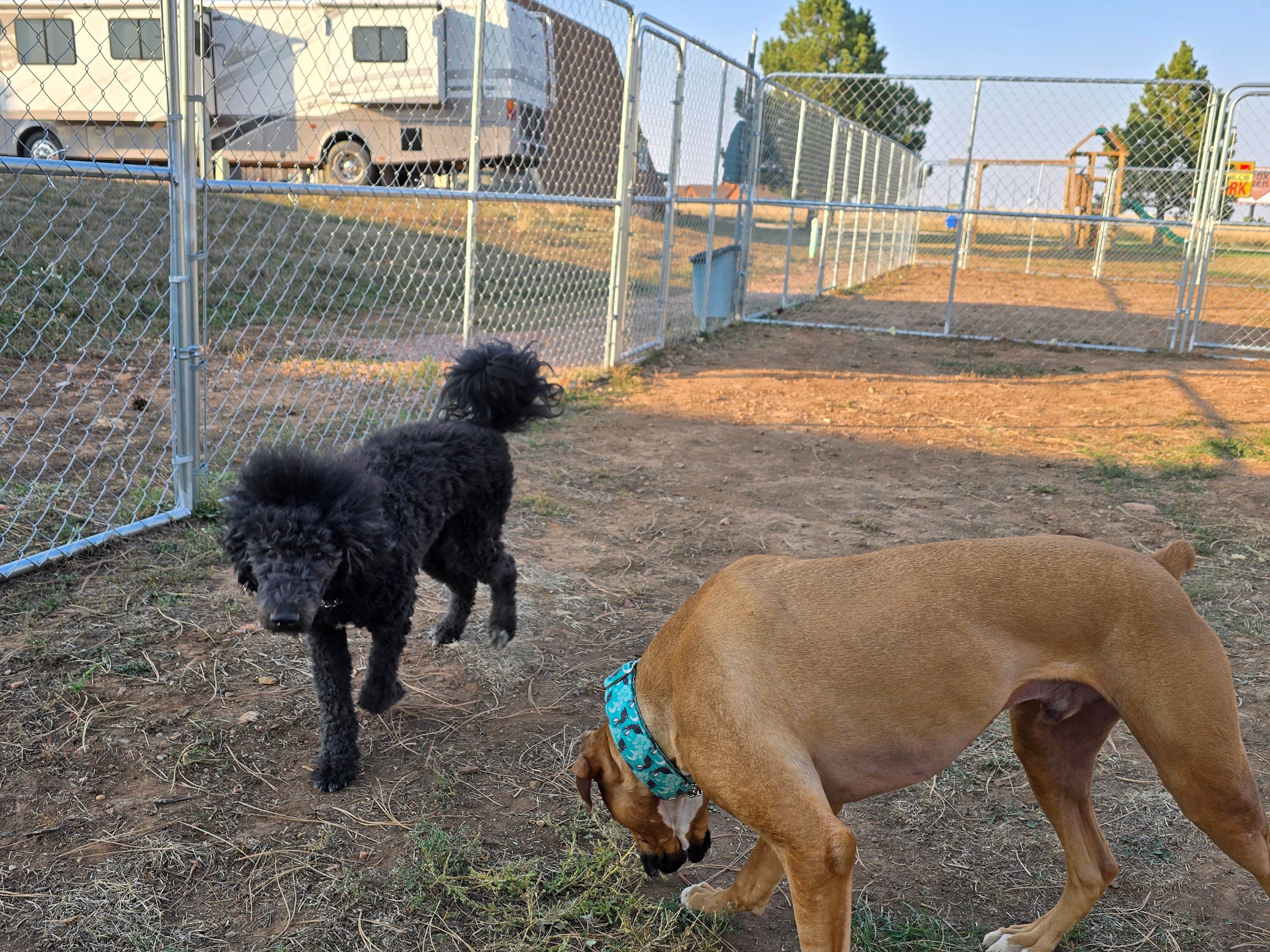 Camper-submitted photo at Black Hills RV Park near Hermosa, SD