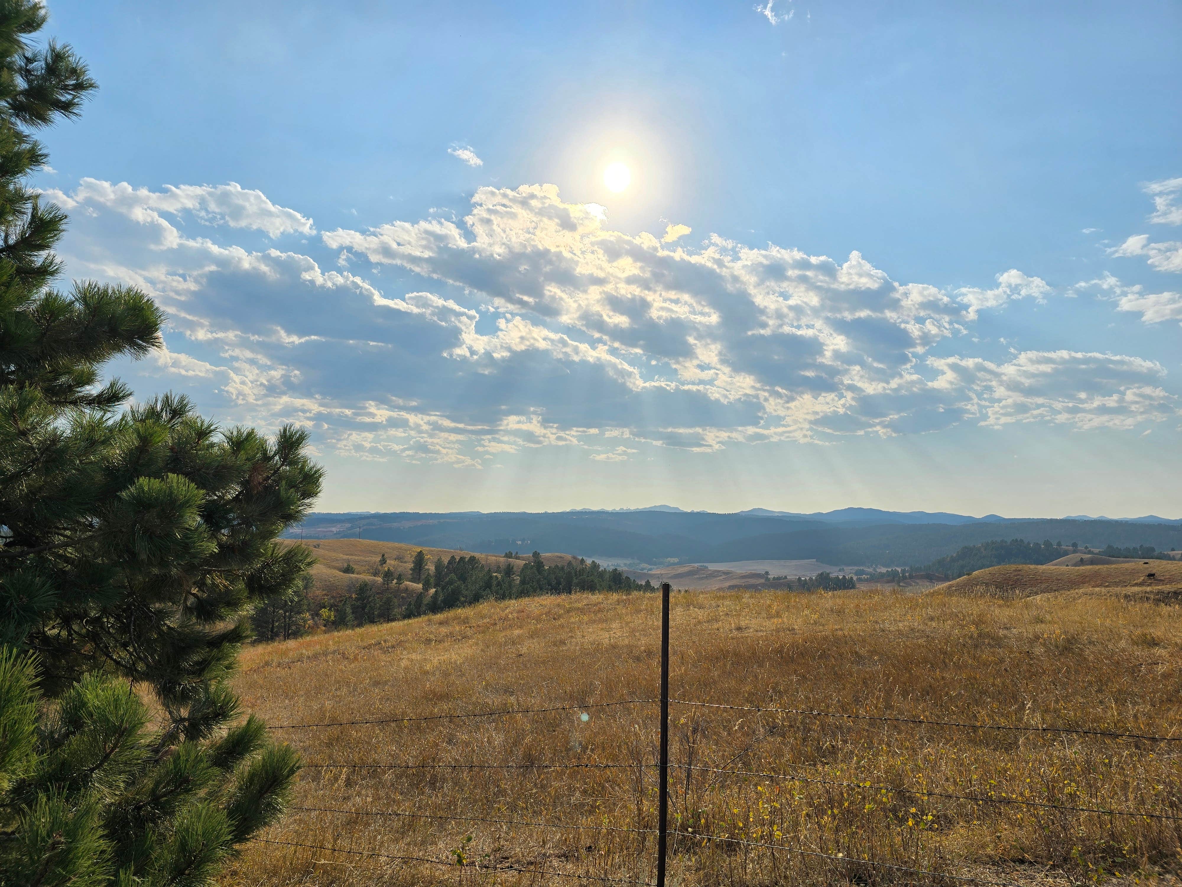 Camper-submitted photo at Black Hills RV Park near Hermosa, SD