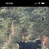 Review photo of Raspberry Gulch Dispersed Site by Morgan L., August 31, 2025