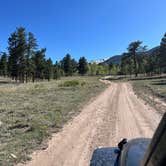 Review photo of Raspberry Gulch Dispersed Site by Lilliana S., August 14, 2025