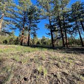 Review photo of Raspberry Gulch Dispersed Site by marine J., June 6, 2024