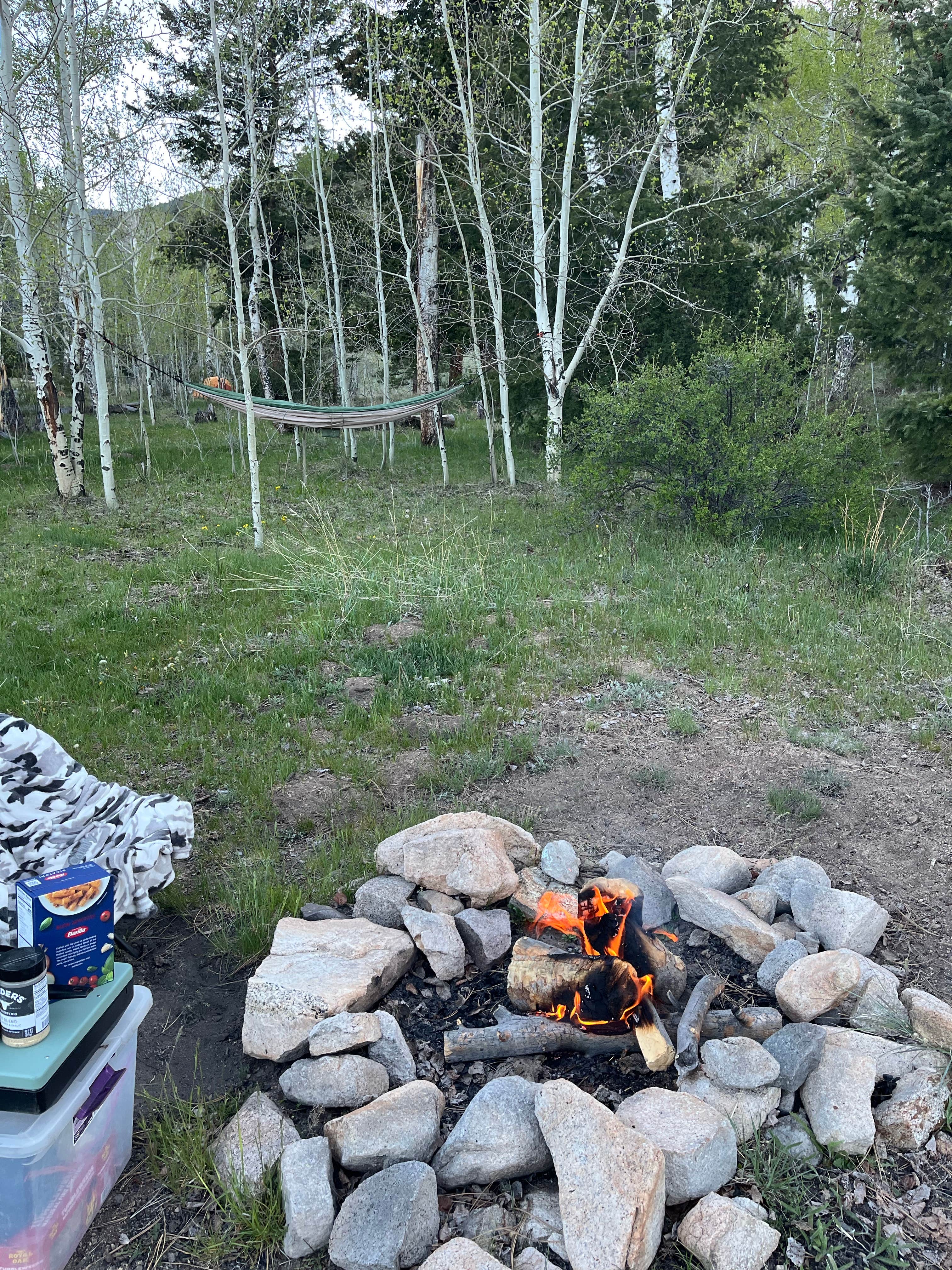 Camper-submitted photo at Raspberry Gulch Dispersed Site near Poncha Springs, CO