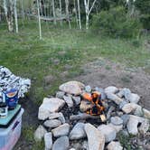 Review photo of Raspberry Gulch Dispersed Site by Lilliana S., August 14, 2025