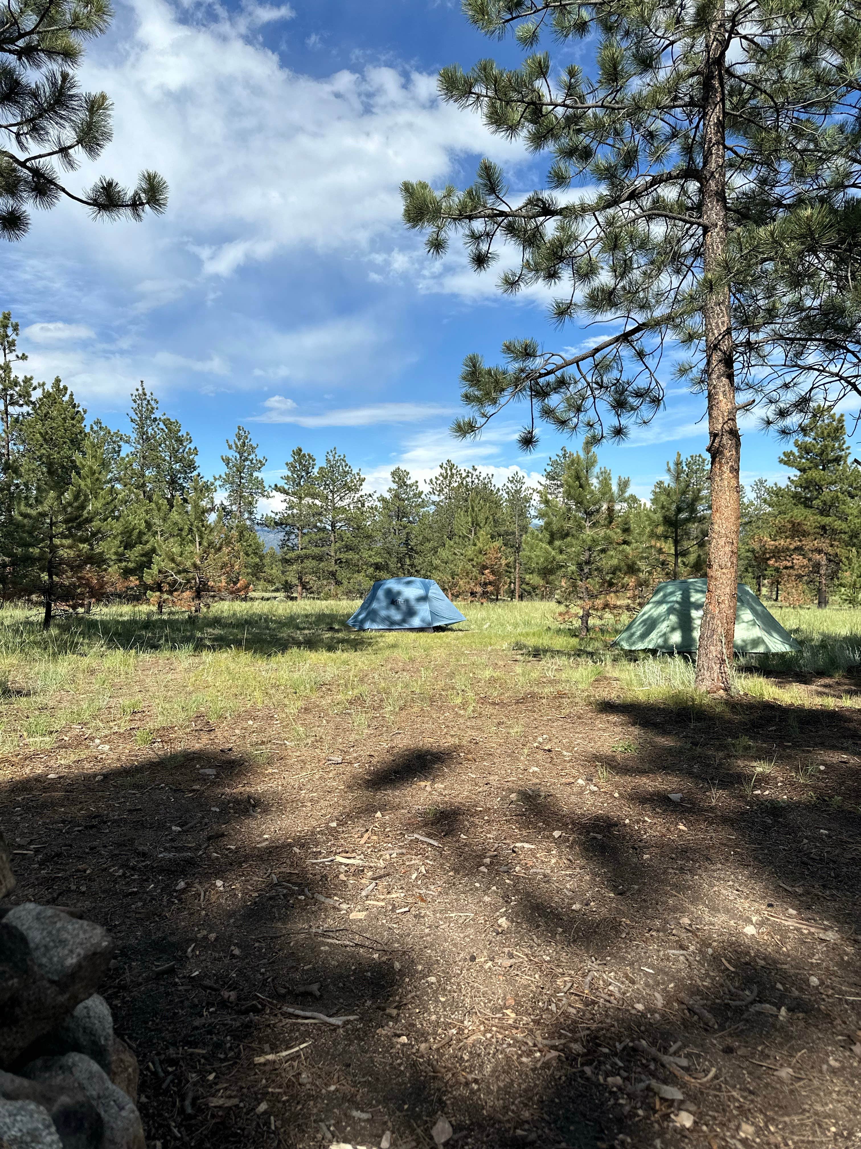Camper-submitted photo at Raspberry Gulch Dispersed Site near Poncha Springs, CO