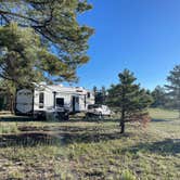 Review photo of Raspberry Gulch Dispersed Site by marine J., June 6, 2024