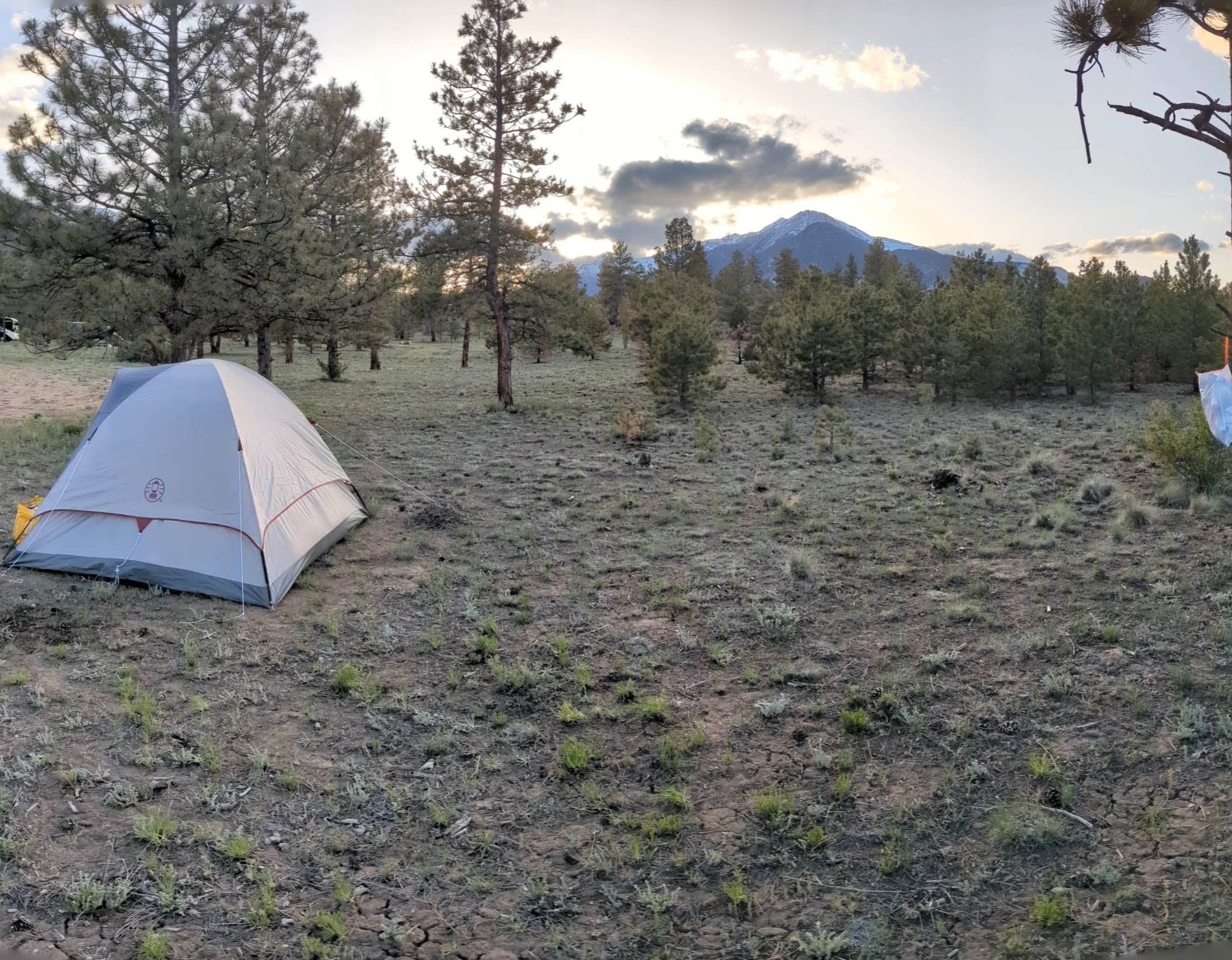 Tessa P.'s photo of a dispersed camping area at Raspberry Gulch Dispersed Site near Poncha Springs, CO