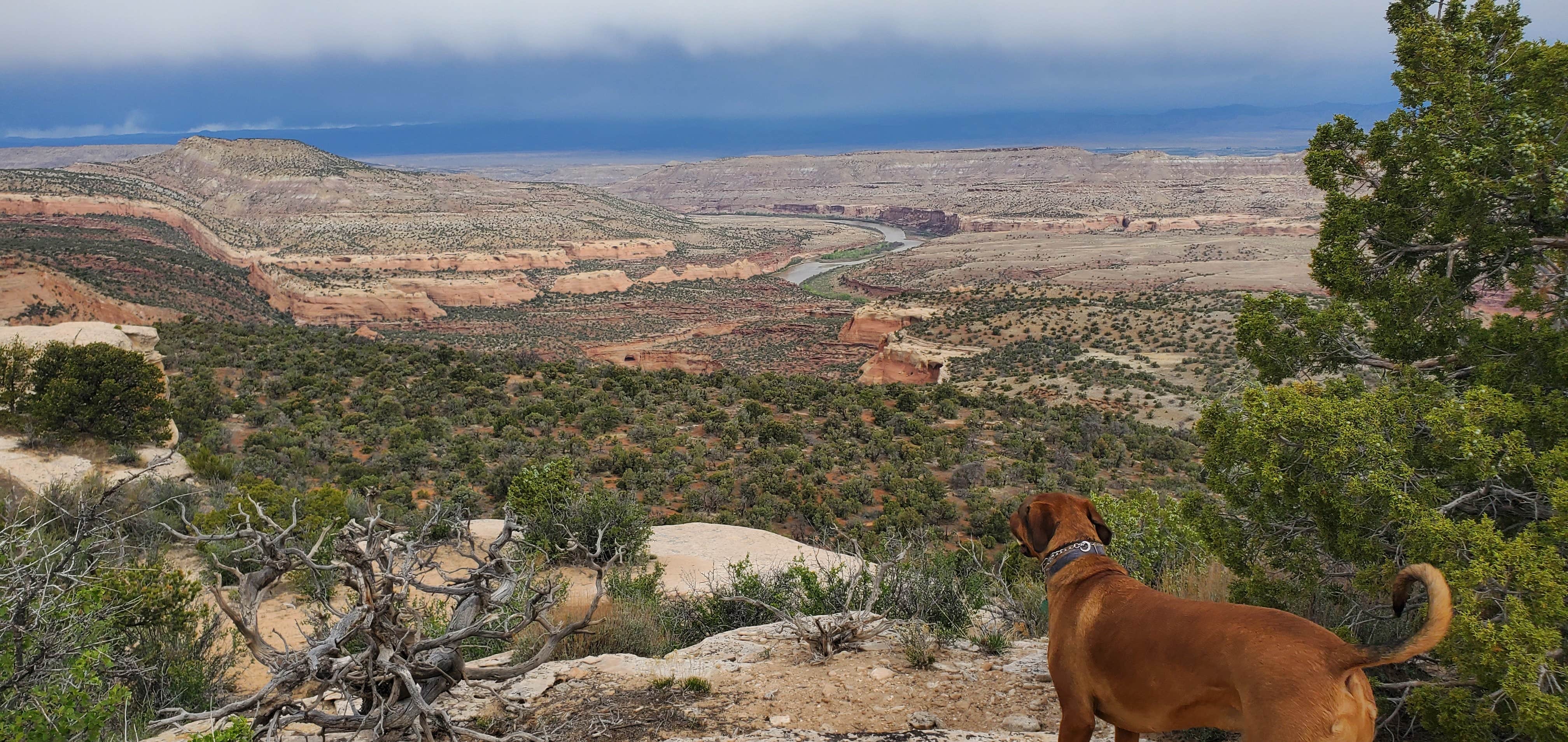 Camper-submitted photo at Rattlesnake and Mee Canyons near Mack, CO
