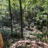 Review photo of Raven Cliff Falls by Noah W., September 17, 2026