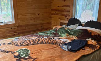 John V.'s photo of glamping accommodations at Moccasin Branch Campground — Raven Rock State Park near Pinebluff, NC