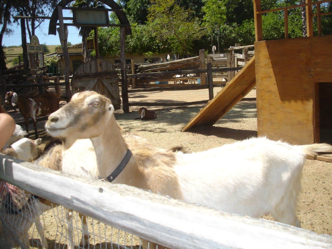Camper submitted image from Rawhide Ranch - 4