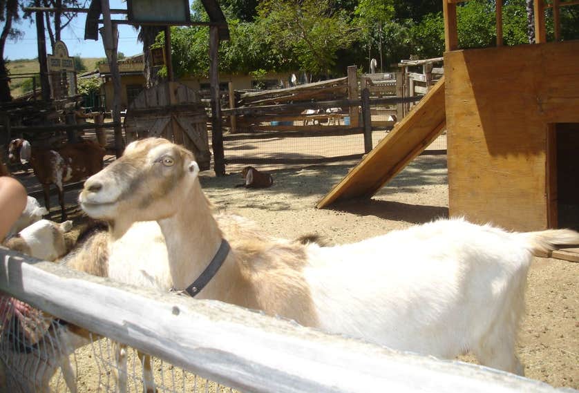 Rawhide Ranch Rawhide Ranch Camping | Fallbrook, California