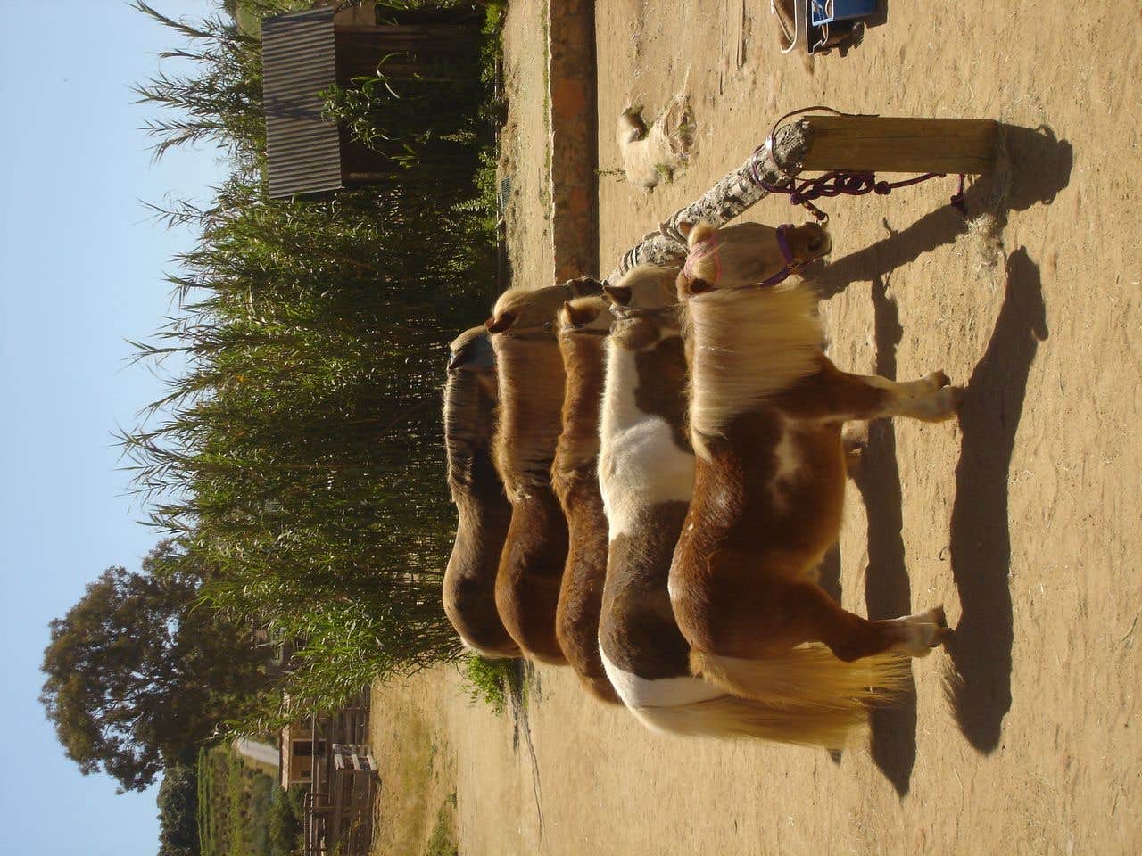 Camper submitted image from Rawhide Ranch - 3