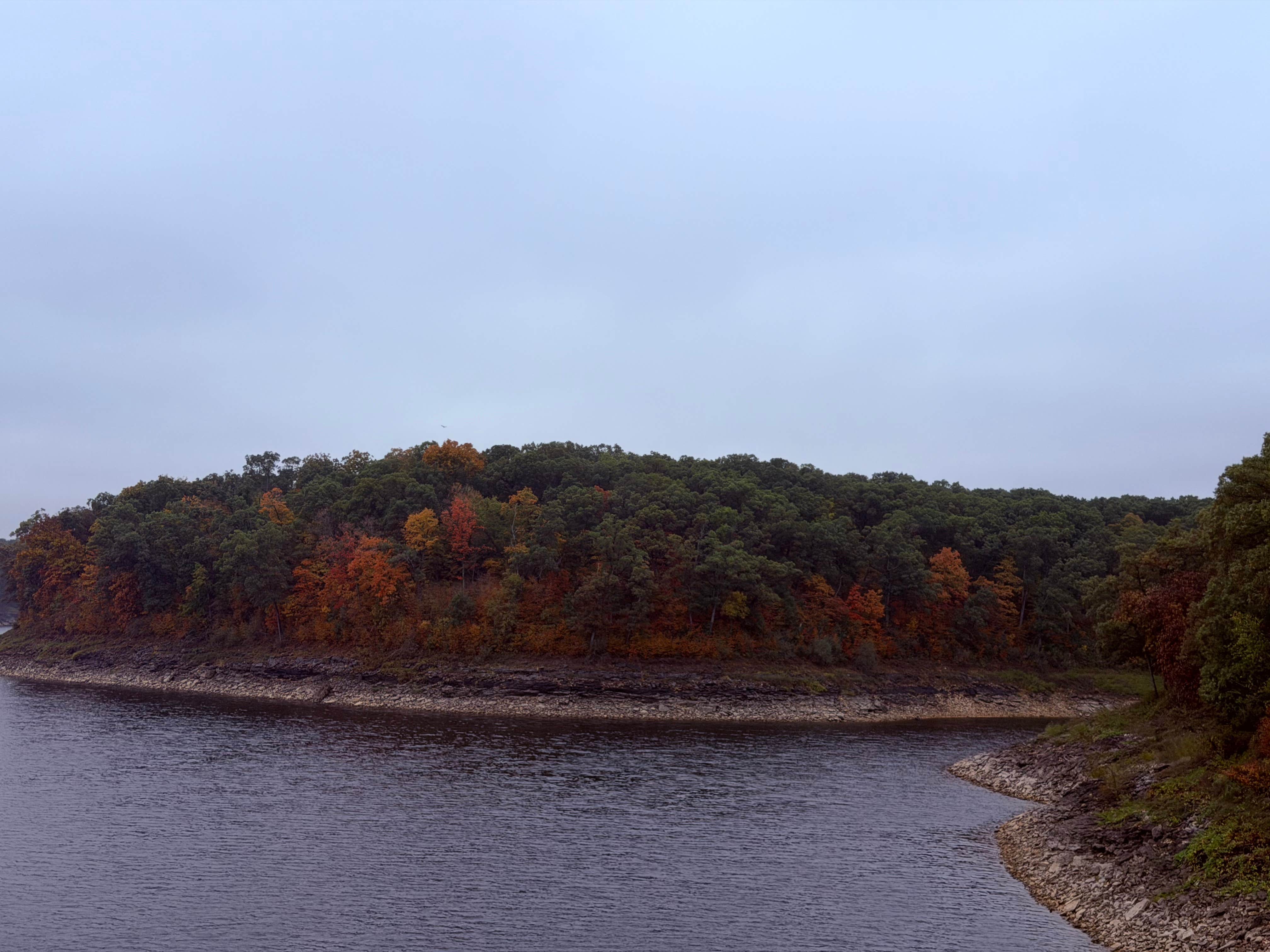 Camper-submitted photo at Ray Behrens Recreational near Mark Twain Lake