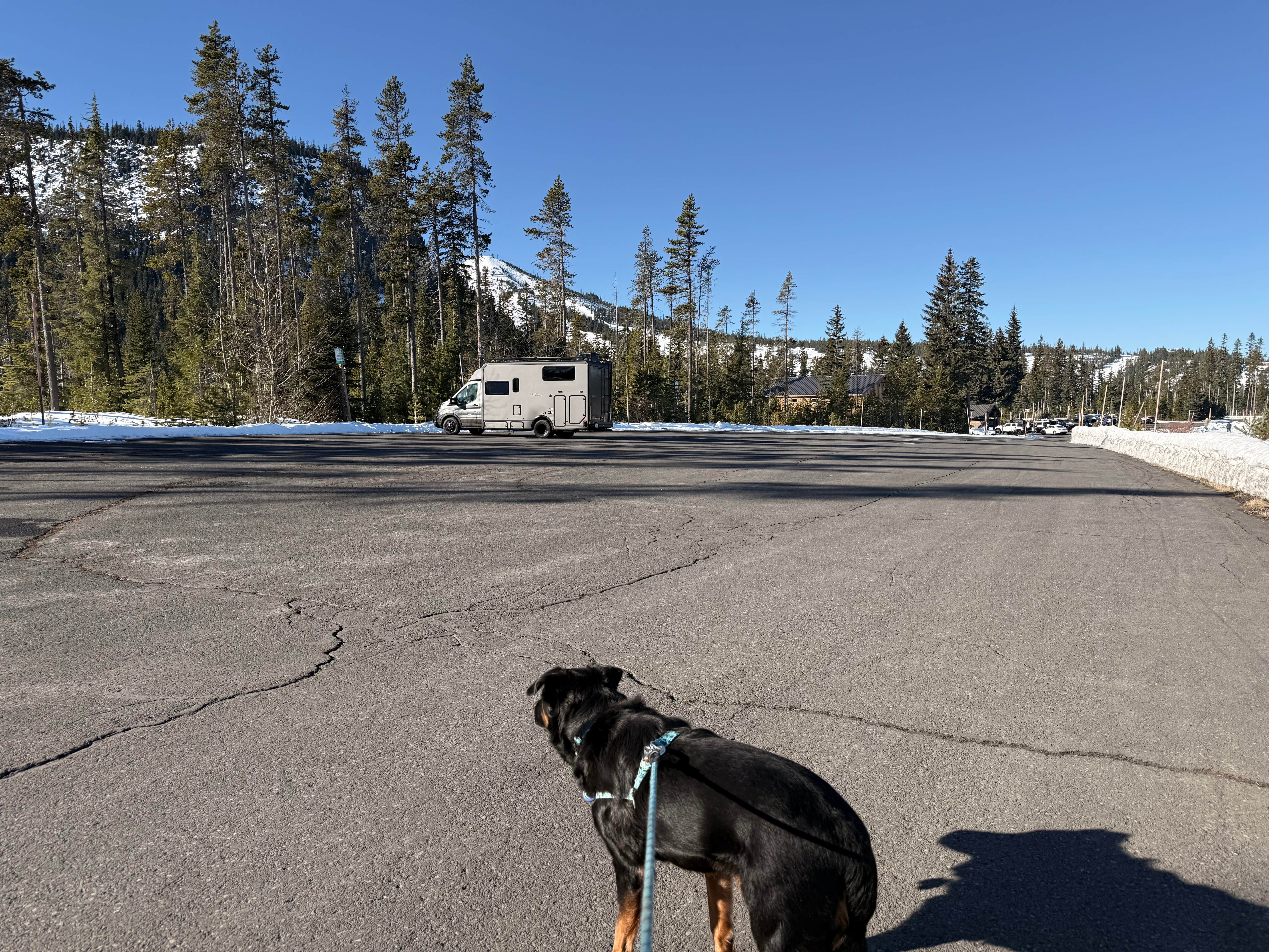 Camper-submitted photo at Ray Benson Sno-Park near Vida, OR