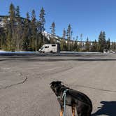 Review photo of Ray Benson Sno-Park by Angela M., January 17, 2026
