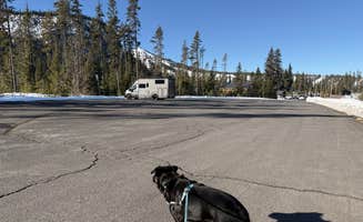 Angela M.'s photo of camping with pets at Ray Benson Sno-Park near Willamette National Forest