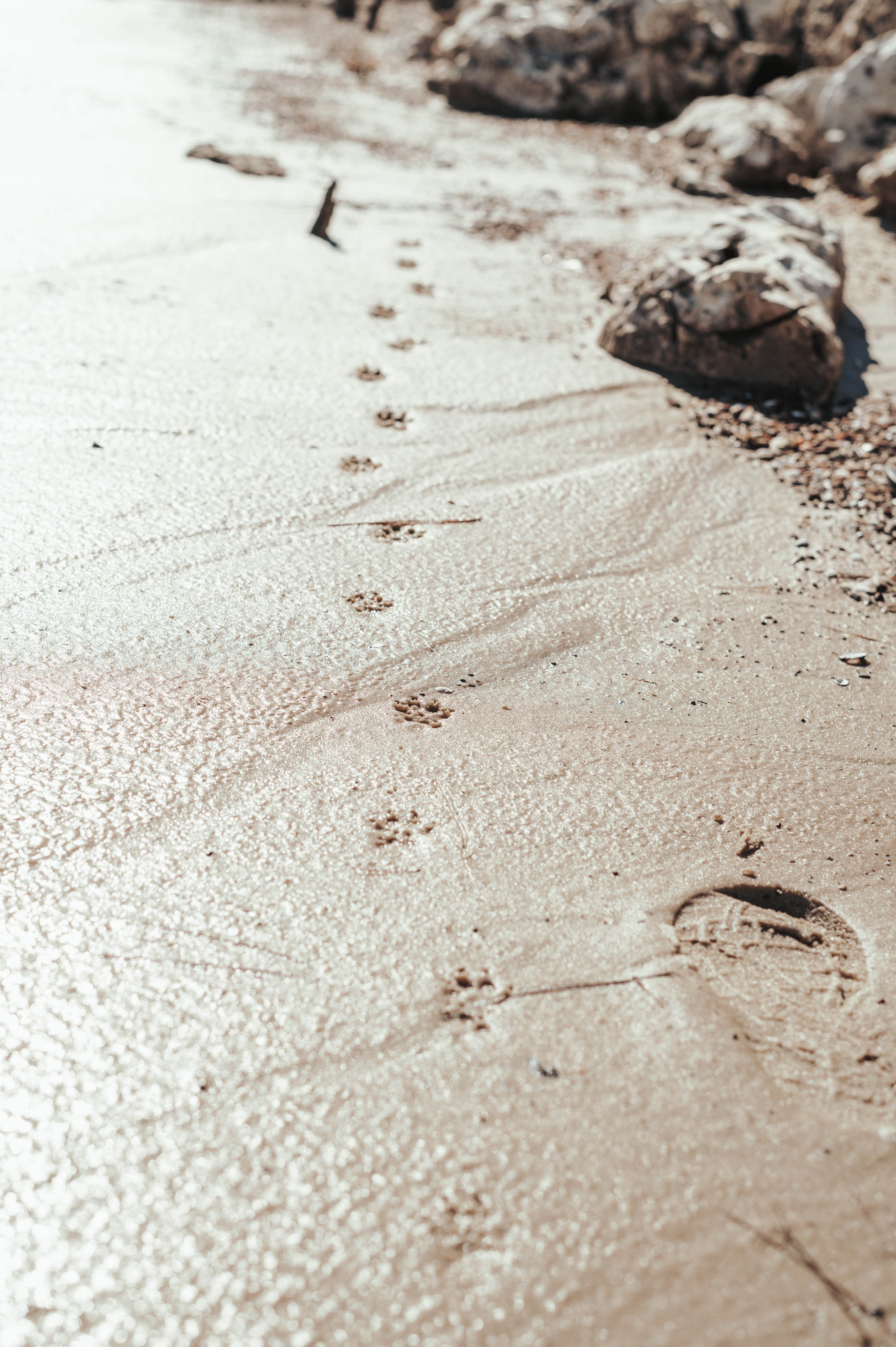 Camper-submitted photo at Rayburn near Pineland, TX