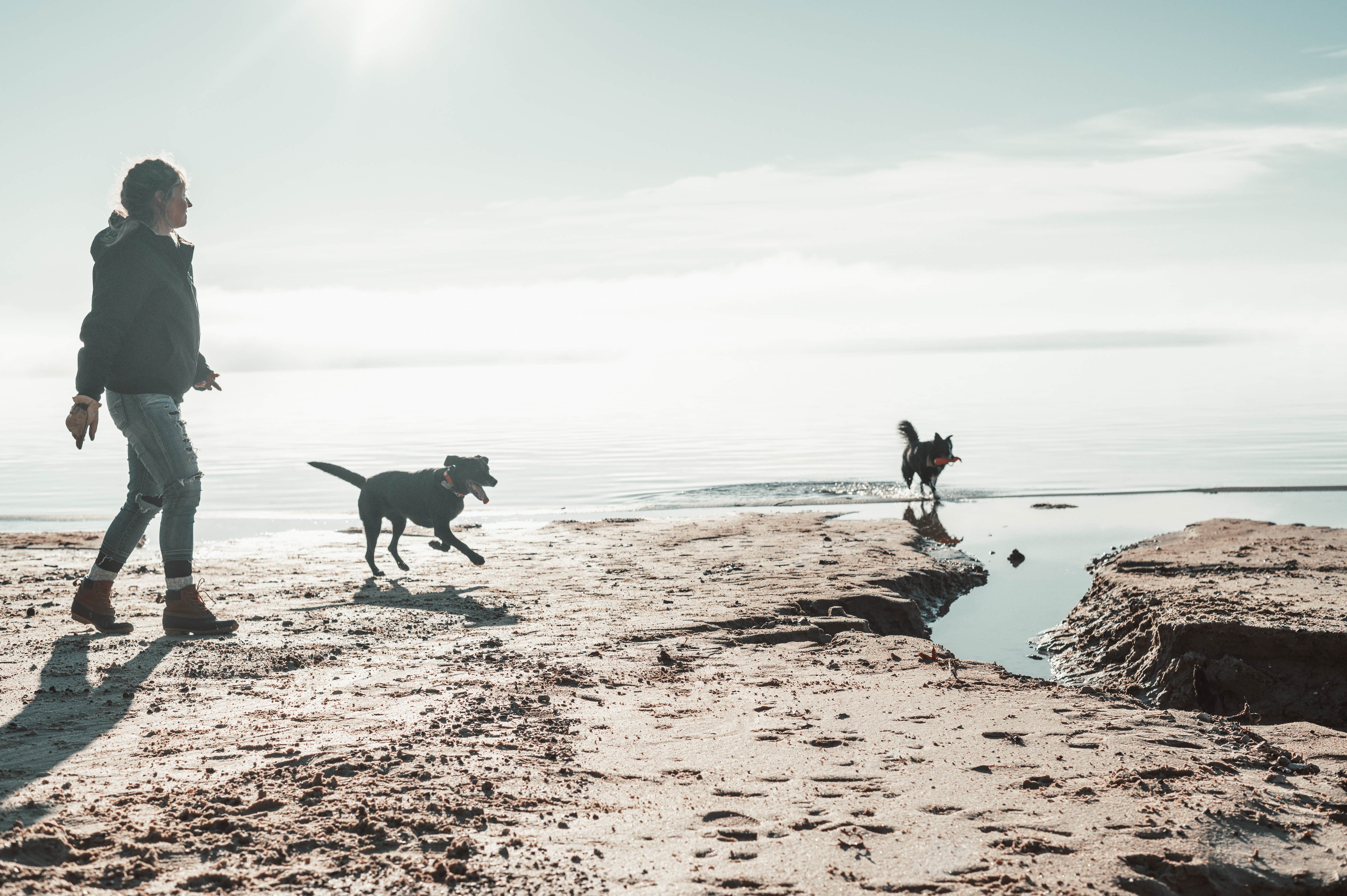 Elise A.'s photo of camping with pets at Rayburn near San Augustine, TX