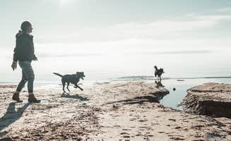 Elise A.'s photo of camping with pets at Rayburn near Big Thicket National Preserve