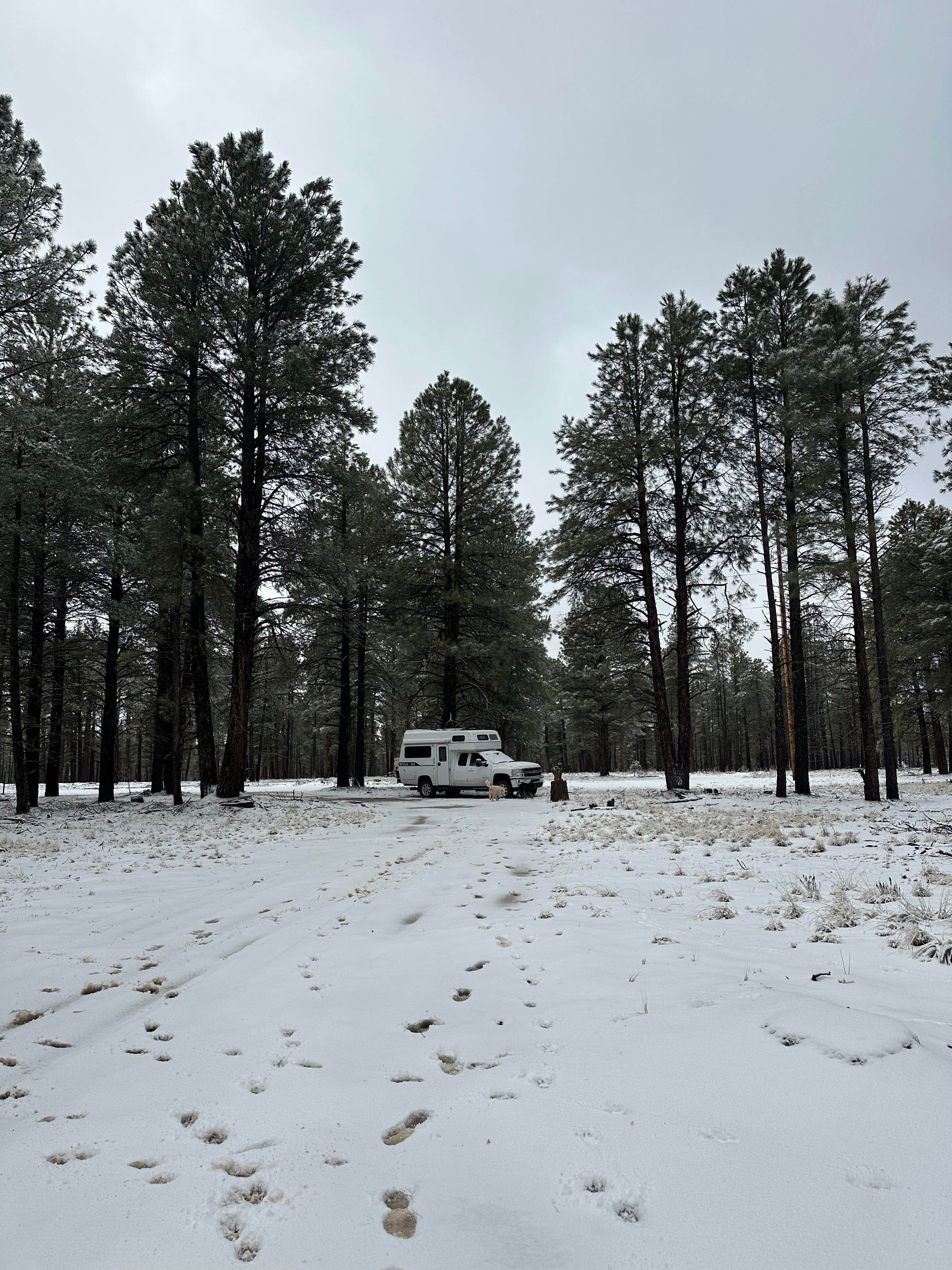 Camper-submitted photo at Raymond Tank near Williams, AZ