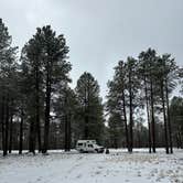 Review photo of Raymond Tank by Karsyn P., February 21, 2026