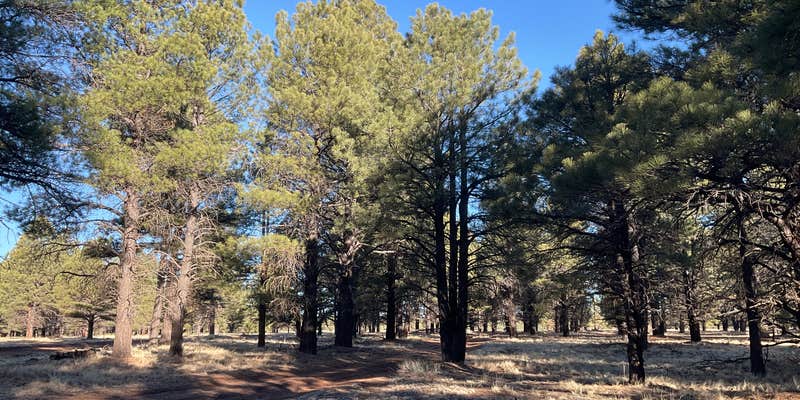 Camper submitted image from Raymond Tank