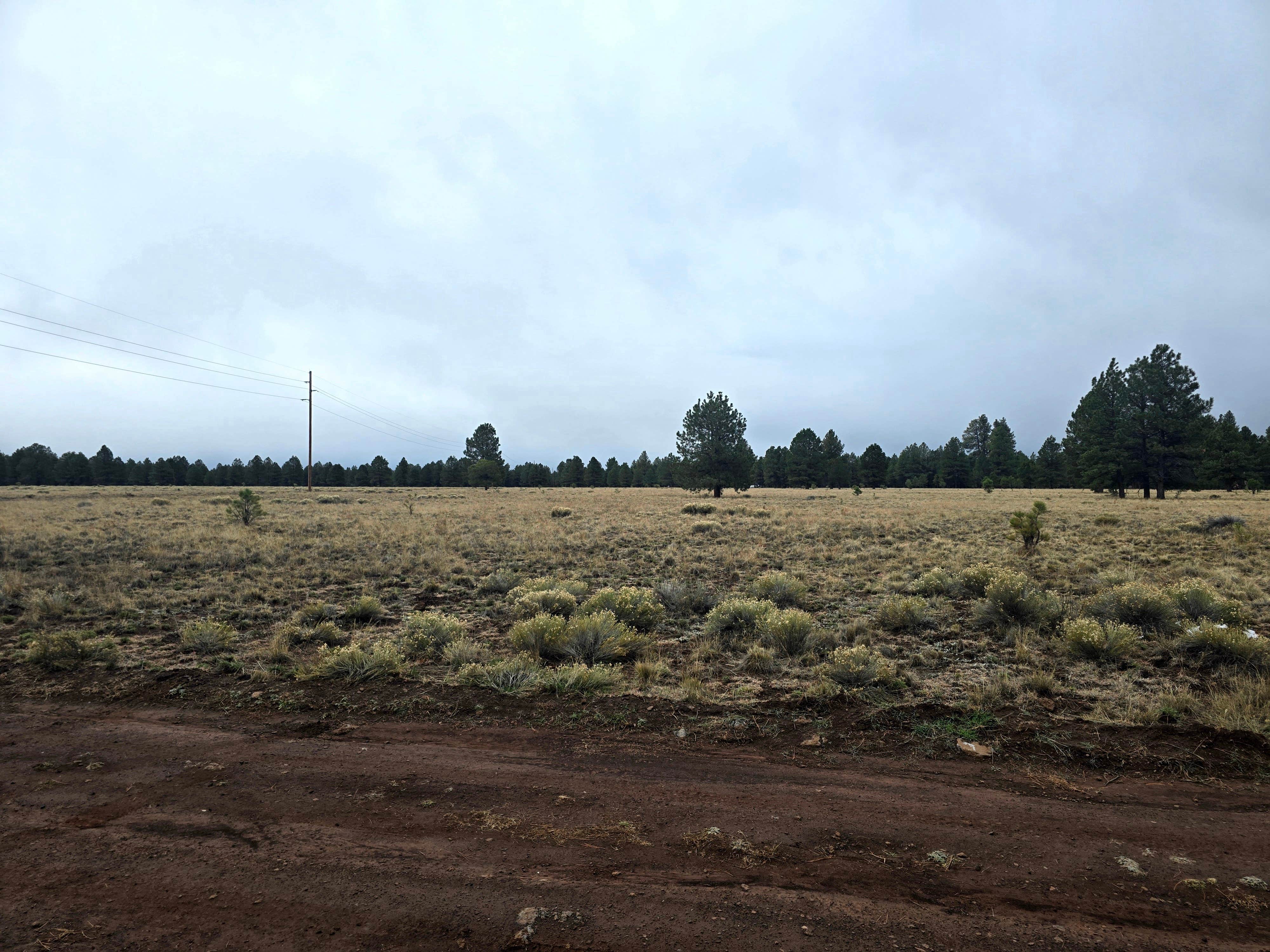 Camping near Village Camp Flagstaff: Raymond Tank, Bellemont, Arizona
