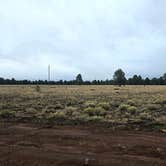 Review photo of Raymond Tank by Jesse J., November 22, 2025