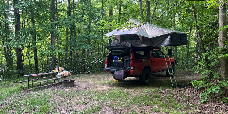 Camper submitted image from Rays Campground