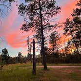 Review photo of RD 356 Dispersed Site Black Hills National Forest by Dirty E., April 27, 2025