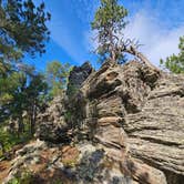 Review photo of RD 356 Dispersed Site Black Hills National Forest by Goshen K., July 25, 2026
