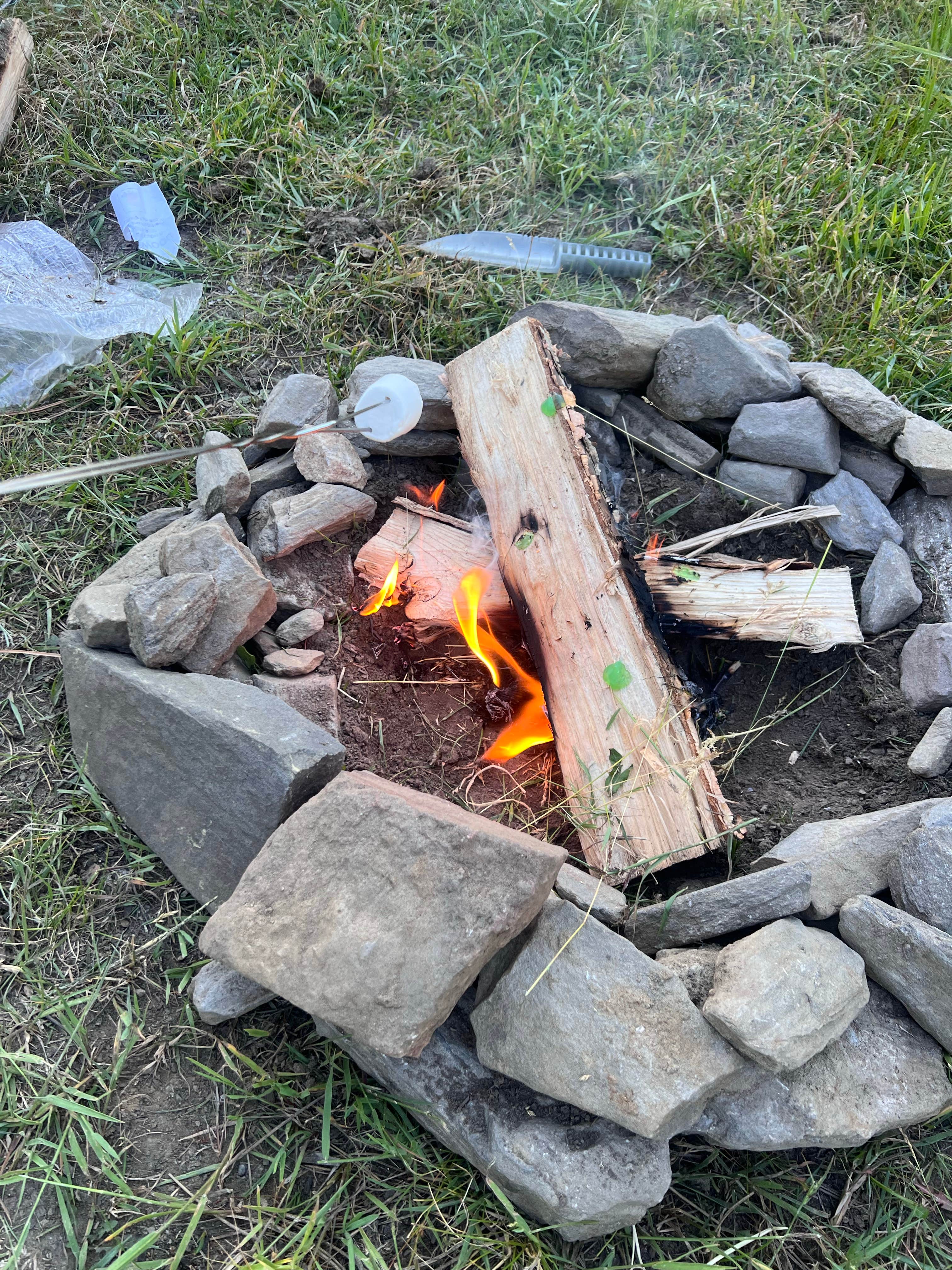 Camper-submitted photo at RD 356 Dispersed Site Black Hills National Forest near Silver City, SD