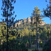 Review photo of RD 356 Dispersed Site Black Hills National Forest by Ben H., September 26, 2024