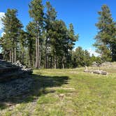 Review photo of RD 356 Dispersed Site Black Hills National Forest by Shane H., June 12, 2024