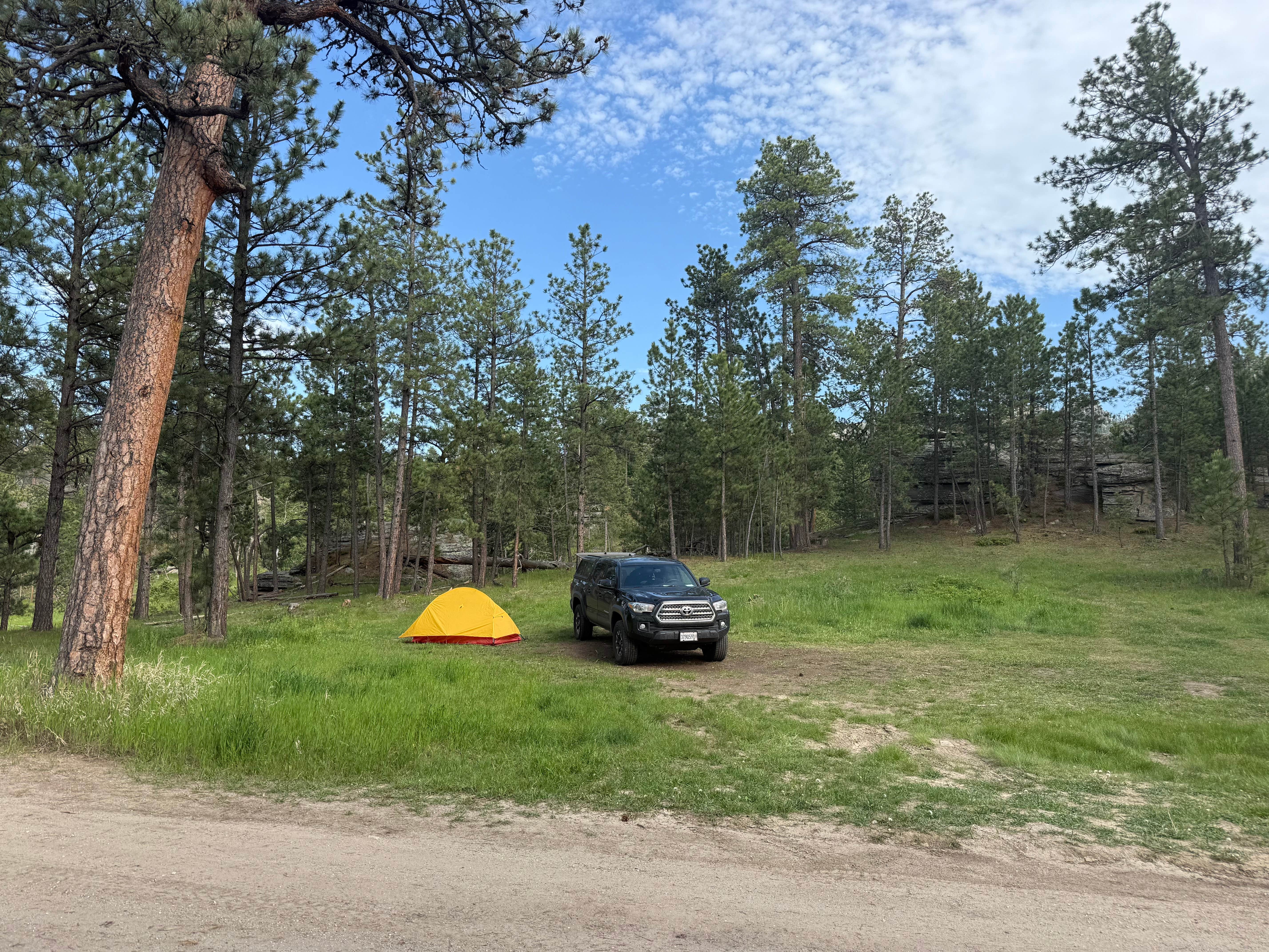 Camper-submitted photo at RD 356 Dispersed Site Black Hills National Forest near Silver City, SD