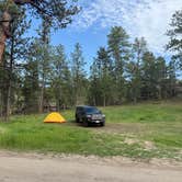 Review photo of RD 356 Dispersed Site Black Hills National Forest by Tyler M., June 15, 2025