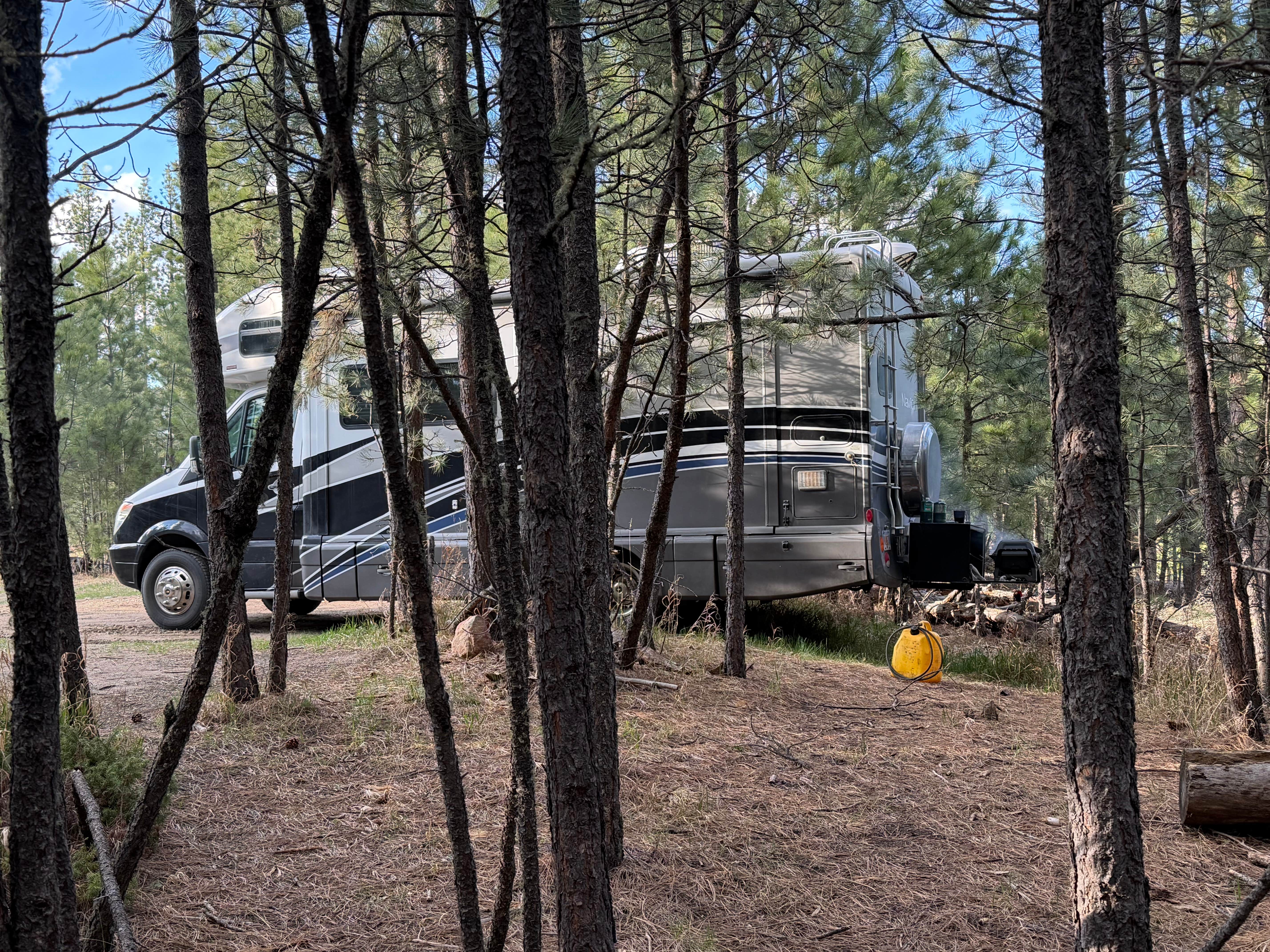 Camper-submitted photo at RD 356 Dispersed Site Black Hills National Forest near Black Hills National Forest
