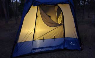 Ruth T.'s photo of tent camping at RD 356 Dispersed Site Black Hills National Forest in South Dakota