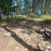 Review photo of RD 356 Dispersed Site Black Hills National Forest by Shane H., June 12, 2024